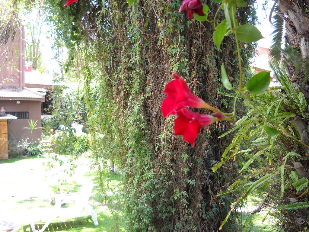 Hosteria Pascana San Salvador de Jujuy Exterior foto
